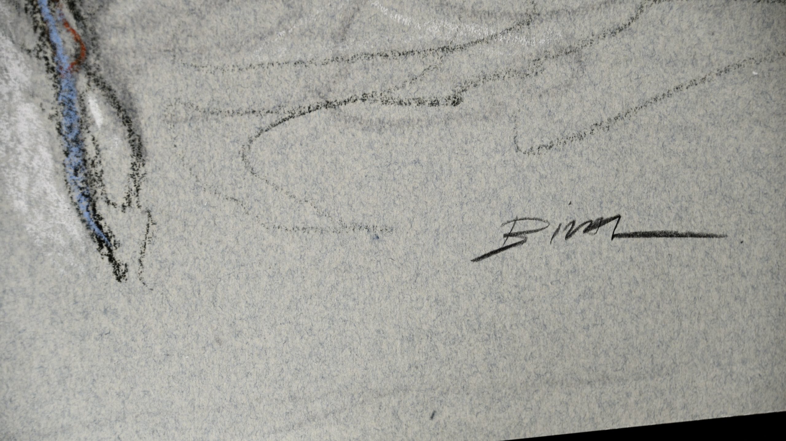 Estampe pigmentaire “Animal Z Woman” signée – Image 3