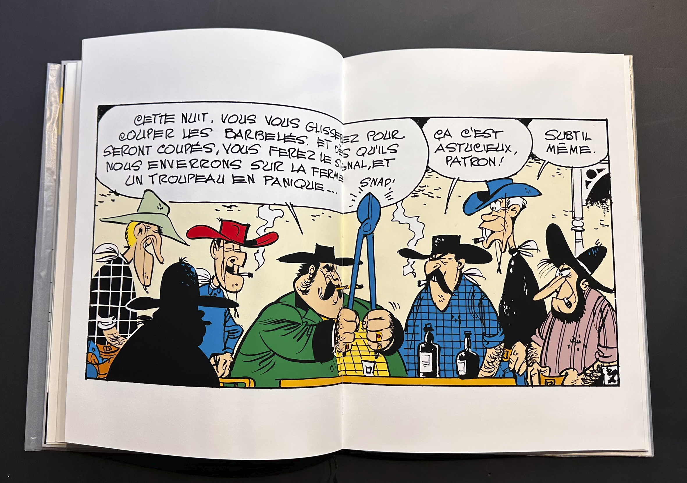 MORRIS • Livre Lucky Luke "Des barbelés dans la prairie" éd. luxe noir et blanc – Image 5