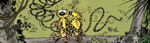 Franquin